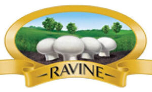 Ravine-logo